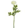 Künstliche Ranunkel 56cm Blütenkopf Ø 8,5cm, weiß
