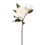 Künstliche Päonie x 2 57cm Blütenkopf Ø 11cm, weiß-rosé