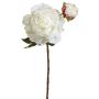 Künstliche Pfingstrose x 2 54cm Blütenkopf Ø 12cm, weiß-rosé