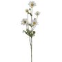 Künstlicher Margeritenzweig x 7 66cm Blütenkopf Ø 2,5/6cm, weiß