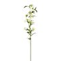 Künstliche Campanula x 10 88cm, weiß
