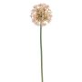 Künstlicher Allium 70cm Blütenkopf Ø 10cm, rosé