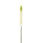 Künstlicher Eremurus 87cm, weiß