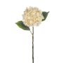 Hortensie 55cm Blütenkopf Ø 15cm, elfenbein