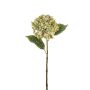 Hortensie 55cm Blütenkopf Ø 15cm, grün