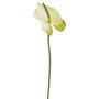 Künstliche Anthurie 45cm Blütenkopf Ø 8cm, creme-grün