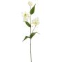 Künstliche Gloriosa 3-fach 105cm Blütenkopf Ø 9cm, elfenbein