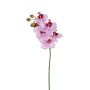 Künstliche Phalaenopsis x 6 57cm Blütenkopf Ø 7/8cm, weiß-rosé