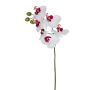 Künstliche Phalaenopsis x 6 57cm Blütenkopf Ø 7/8cm, weiß-lila