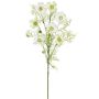 Künstliche Cosmea x 7 68cm Blütenkopf Ø 6cm, weiß