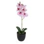 Künstliche Phalaenopsis im Topf 40cm Blütenkopf Ø 7/8cm, weiß-rosé