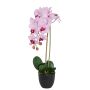 Künstliche Phalaenopsis im Topf 58cm Blütenkopf Ø 8/9cm, weiß-rosé