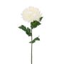 Künstliche Chrysantheme 75cm Blütenkopf Ø 14cm, elfenbein