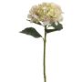 Künstliche Jade-Hortensie 56cm Blütenkopf Ø 15cm, creme-rosé