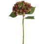 Künstliche Jade-Hortensie 56cm Blütenkopf Ø 15cm, burgund-grün