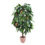 Mangobaum mit Früchten, Lianen, 180cm