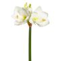 Künstliche Amaryllis x 3 68cm Blütenkopf Ø 5/11cm, weiß-grün