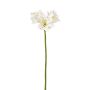 Künstliche Amaryllis 57cm Blütenkopf Ø 8cm, weiß