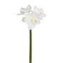 Künstliche Amaryllis x 4 63cm Blütenkopf Ø 4/14cm, weiß