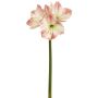 Künstliche Amaryllis x 4 75cm Blütenkopf Ø 5/11cm, weiß-rosé