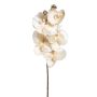 Künstliche Velvet-Phalaenopsis x 7 68cm, creme
