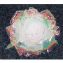 Künstliche Rose mit Clip 11cm, irisé