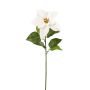 Künstliche Velvet-Poinsettia mit Blätter 55cm Blütenkopf Ø 21cm, weiß
