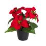 Künstliche Poinsettia x 3 im Topf 24cm Blütenkopf Ø 10/13cm, rot