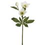 Künstliche Christrose x 3 40cm Blütenkopf Ø 3/7,5cm, elfenbein