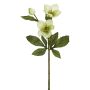 Künstliche Christrose x 3 40cm Blütenkopf Ø 3/7,5cm, hellgrün