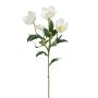 Künstliche Christrose x 4 62cm Blütenkopf Ø 3/7cm, weiß