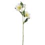 Künstliche Christrose x 3 52cm Blütenkopf Ø 2,5/7cm, weiß-grün