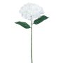 Künstliche Hortensie RE 68cm Blütenkopf Ø 23cm, elfenbein