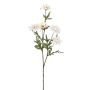 Künstlicher Margeritenzweig RE x 5 75cm Blütenkopf Ø 5,5/7cm, elfenbein