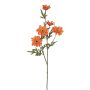 Künstlicher Margeritenzweig RE x 5 75cm Blütenkopf Ø 5,5/7cm, orange