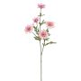 Künstlicher Margeritenzweig RE x 5 75cm Blütenkopf Ø 5,5/7cm, rosé-gemischt