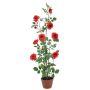 Rosenstrauch im Moostopf, rot, 120cm