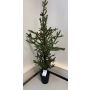 Künstliche Fichte im Topf 94cm, grün