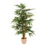 Bambusbaum mit 3 dicken Natur-Stämmen, 210cm