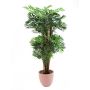 Kaiserbambus 1590 Blätter, 170 cm