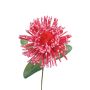 Künstliche Blume Nadelkissen Protea Kunststoffschaum ISLARTINA, rot-pink, 75cm