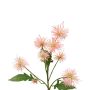Kugeldistel Deko Zweig GESKENDA, rosa-gelb, 60cm, Ø3,5-5cm