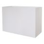 Rechteckiger Pflanzkasten NALTIS aus Kunststoff, outdoor, weiß, 100x40x70cm