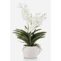 Künstliche Vanda Orchidee PAVRA im Keramiktopf, Wurzeln, weiß-creme, 60cm