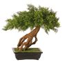 Künstlicher Wacholder Bonsai LORITIS in Steinschale, 55cm