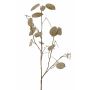 Deko Zweig Lunaria LOUDIAS, beige, 90cm