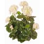 Kunstblume Geranie MIA auf Steckstab, creme, 35cm, Ø6-9cm
