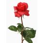Künstliche Rose AMELIE, rot, 70cm, Ø9cm