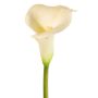 Künstliche Calla MIRAC, creme, 75cm, 12x15cm