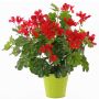Kunstblume Geranie MIA auf Steckstab, rot, 40cm, Ø5-8cm
